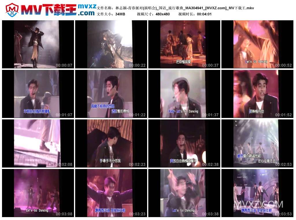 林志颖-青春派对(演唱会)_国语_流行歌曲_MA304941